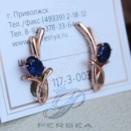 Серьги